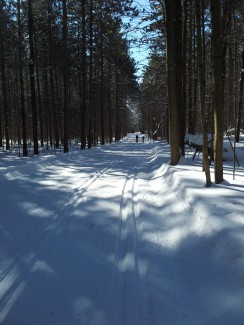 long road of winter